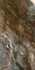 Керамогранит Amazona Leviglass Coffee 60х120 Geotiles полированный универсальный