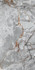 Керамогранит Gediz Grey Polished Rec. 60x120 Etili Seramik полированный универсальный ETI80538