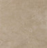 Керамогранит Reness Gold 60x60 напольный глянцевый