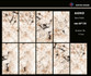 Керамогранит Agno Light Polished 60х120 Novin Ceram Yazd Tile Co полированный универсальный N9389Т36