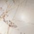 Керамогранит Supreme Hedonism Golden Spider Lux R 120х280 Flaviker полированный универсальная плитка PF60017223