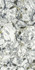 Керамогранит Forte Dei Marmi Quark Ceppo Apuano Forest Rett 80x160 Atlas Concorde матовый универсальная плитка 610010002960
