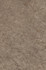 Настенная плитка 8354 Каприччо Коричневый глянцевый 20х30 Kerama Marazzi керамическая