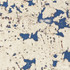 IberCork Крем Азул 600x300 Пробковые настенные покрытия в пластинах EasyCork клеевое соединение
