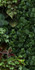 Керамогранит Jane D 50x100 41ZERO42 матовый настенный 4100154