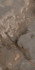 Керамогранит Reves de Rex Choco 9 mm 60x120 REX Ceramiche полированный универсальный 769819