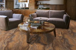 Stone Plus