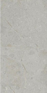 Керамогранит Silver Rustic Carving 60x120 Art and Natura Ceramica универсальный 11111T1151