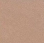 Керамогранит Базовая плитка L4404-1Ch Caramel 04 - Loose 10х10 настенный матовый