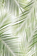 Панно Brennero Tropic (2) 50x75 матовое керамическое