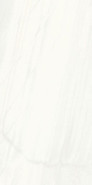 Керамогранит Marmi Classici Bianco Covelano Luc Ret 60x120 Ariostea полированный универсальный F9955