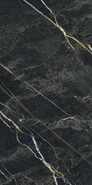 Керамогранит Forest 60x120 универсальный полированный