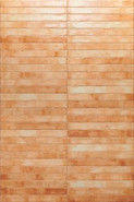 Керамогранит Colors Beige 4.8х45 Sadon глянцевый настенный J92074