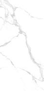 Керамогранит Bianco Carrara 120х240 полированный NT Ceramic универсальный NTT3004P