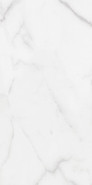 Керамогранит Status Pulido 60x120 Azulejos Benadresa полированный универсальный n12784012
