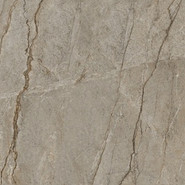 Керамогранит Wild Forest 120x120 Matt (9 мм) Zodiac Ceramica матовый универсальная плитка MN327AYD121209