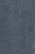Керамогранит Belgium Stone Anthracite 2 см 60х90 Rino Seramik матовый напольный n157524