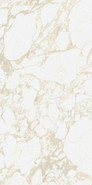 Керамогранит Pulp Gold Raw 60x120 матовый