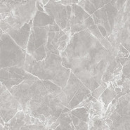 Керамогранит 10GCRGCL0064 Carolina_GT Серый 60x60 Global Tile матовый универсальная плитка