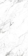 Керамогранит Pompeo Digital Glazed 60x120 Artecera Marble Collection матовый универсальная плитка AC126100B