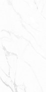 Керамогранит GT1206015903PDR Andrea_GT Белый 60x120 Global Tile полированный универсальная плитка
