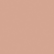 Керамогранит Rose 20x20 Equipe матовый универсальный 27681