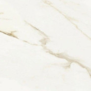 Керамогранит Adaggio Gold Pulido Rectificado 60x60 универсальный полированный