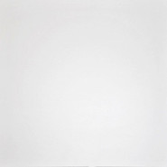 Керамогранит G-100/MR Domino белый матовый 60x60 Grasaro напольная плитка