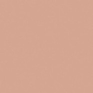 Керамогранит Rose 20x20 Equipe матовый универсальный 27681