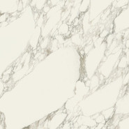 Керамогранит Шарм Делюкс Арабескато Уайт 80 Рет Charme Deluxe Arabescato White 80 ret 80x80 напольный матовый