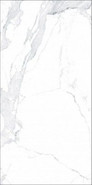 Керамогранит Avenzo Silver F P 60x120 R Full Lappato 1 напольный лаппатированный (полуполированный)