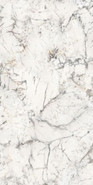 Керамогранит Elite White Polished Rectificado 60x120 GeoGres полированный универсальный УТ-00008983