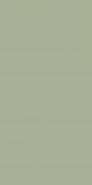 Настенная плитка Feelings Green Paradyz Ceramika 29.8x59.8 матовая керамическая 5902610517228