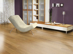Baum Comfort Plus