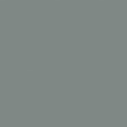 Керамогранит Italian Landscape Muschio 20.5x20.5 Fioranese Ceramica матовый универсальная плитка IL20MUS