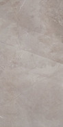 Настенная плитка W- Silver-29,8x59,8 глянцевая керамическая