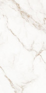 Керамогранит Blanc Statuario Gold Soft 60x120 Living Ceramics матовый универсальная плитка LV10622