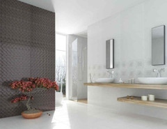 Flavia 518