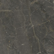 Керамогранит Wonderstone Grey Gres Szkl. Rekt. Poler Paradyz Ceramika 59.8x59.8 полированный универсальный 5904584149511
