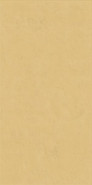 Настенная плитка Wide and Style Mini Ginger Ret 60x120 матовая керамическая