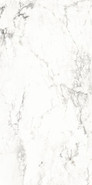 Керамогранит Medicea Marble Pol.6 mm 60x120 Alpas Euro Premium Marble полированный напольный n144736