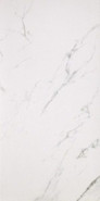 Керамогранит СП452 Плитка CP Marmoker Statuario Grigio Lucido 59x118