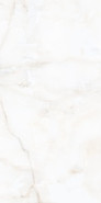 Керамогранит Antisky 2 Polished Alpas Cera 60х120 полированный универсальный УТ000033549