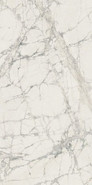 Керамогранит Prexious Rex Mountain Treasure Mat 60x120 универсальный матовый