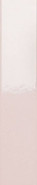 Настенная плитка Rose Glossy 5x25 глянцевая керамическая