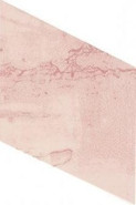 Настенная плитка Snap Rombo Pink 15х29.5 глянцевая