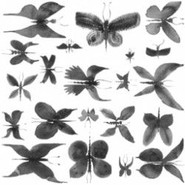 Декор Papillon BE 20 керамический