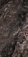 Керамогранит Karst Coffee 75х150 WIFI Ceramics Luxury Stone полированный универсальный SLS75025C