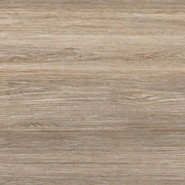 Керамогранит GFU04FOR24R Forest 600x600x9 глазурованный, матовый