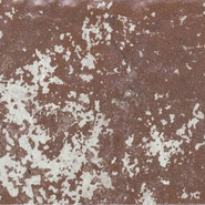 Керамогранит Rosso D"Amante Serenissima and Cir 20х20 матовый универсальный УТ000026815